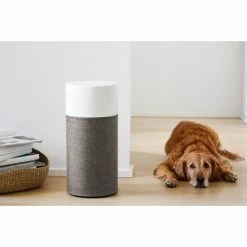 Bon marché 🔥 Blueair 3410 - Humidificateur D'air ⭐ -Biemmedue Sales unnamed file 977